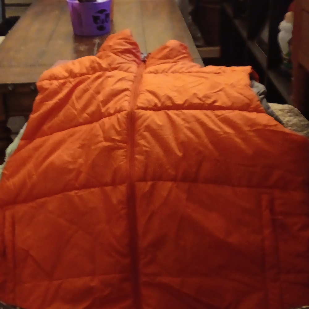 Vest